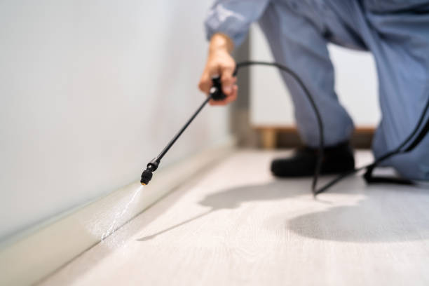 Licensed Pest Control service in Ama, LA - Show Me Pest Control